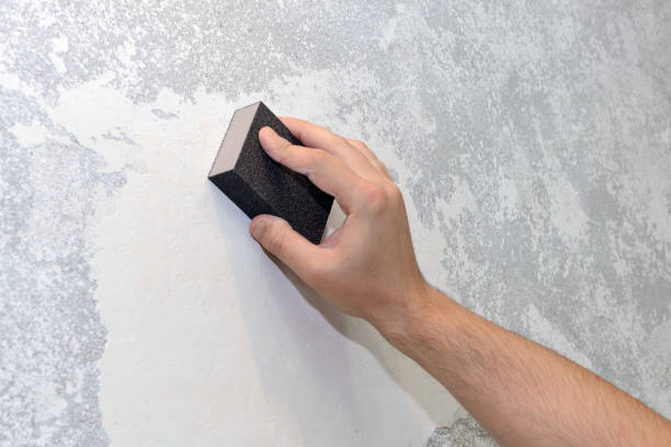 Best Water Damage & Mold Remediation  in Untain View, MO