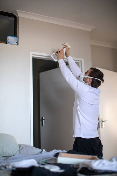  Untain View, MO Mold Removal Pros
