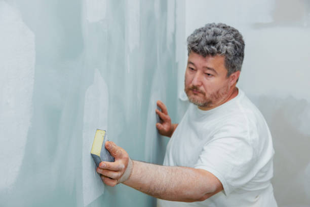 Best Mold Odor Removal Services  in Untain View, MO
