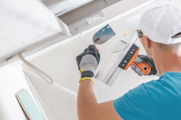 Best Asbestos and Lead Testing During Mold Inspection  in Untain View, MO